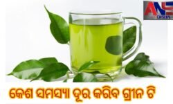 କେଶ ସମସ୍ୟା ଦୂର କରିବ ଗ୍ରୀନ ଟି