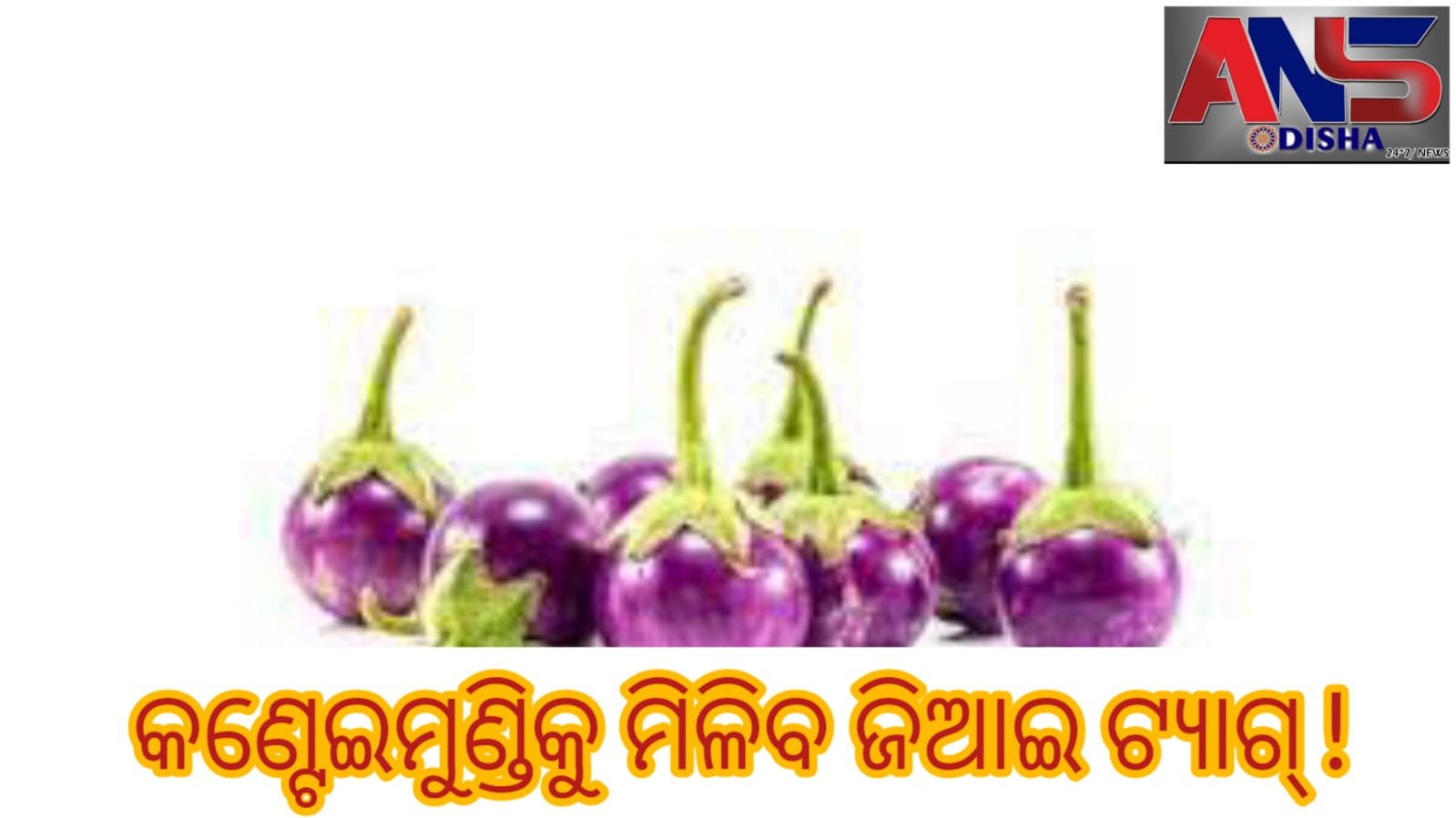 You are currently viewing କଣ୍ଟେଇମୁଣ୍ଡିକୁ ମିଳିବ ଜିଆଇ ଟ୍ୟାଗ୍ !