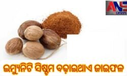 ଇମ୍ୟୁନିଟି ସିଷ୍ଟମ ବଢ଼ାଇଥାଏ ଜାଇଫଳ