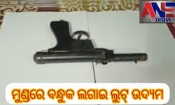 ମୁଣ୍ଡରେ ବନ୍ଧୁକ ଲଗାଇ ଲୁଟ୍‌ ଉଦ୍ୟମ