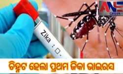 ଚିହ୍ନଟ ହେଲା ପ୍ରଥମ ଜିକା ଭାଇରସ