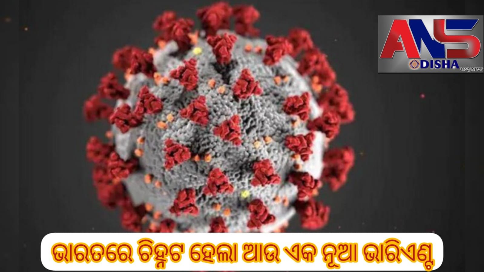 You are currently viewing ଭାରତରେ ଚିହ୍ନଟ ହେଲା ଆଉ ଏକ ନୂଆ ଭାରିଏଣ୍ଟ