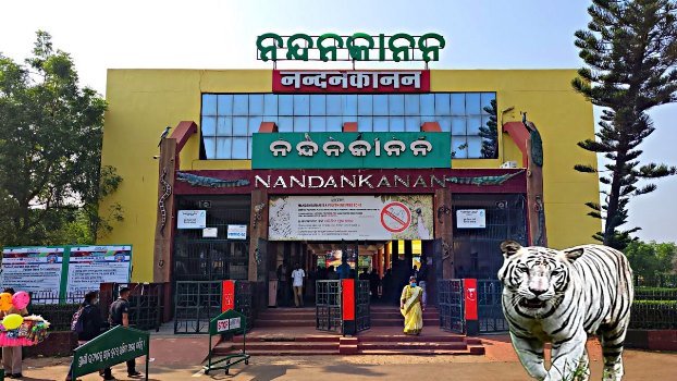 nandankanana