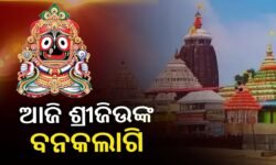 ଆଜି ମହାପ୍ରଭୁଙ୍କ ବନକଲାଗି ନୀତି: ୩ ଘଣ୍ଟା ବନ୍ଦ ରହିବ ସର୍ବସାଧାରଣ ଦର୍ଶନ 